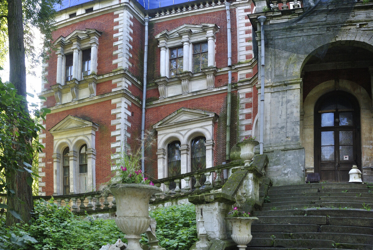 Быково - Марина Виноградова