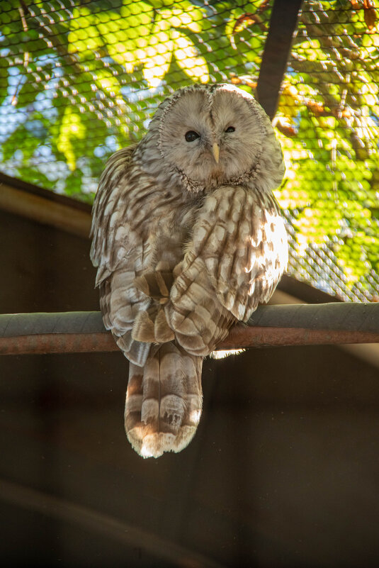 Не мешайте мне спать! - Andrew Не мешайте мне спать! - Andrew