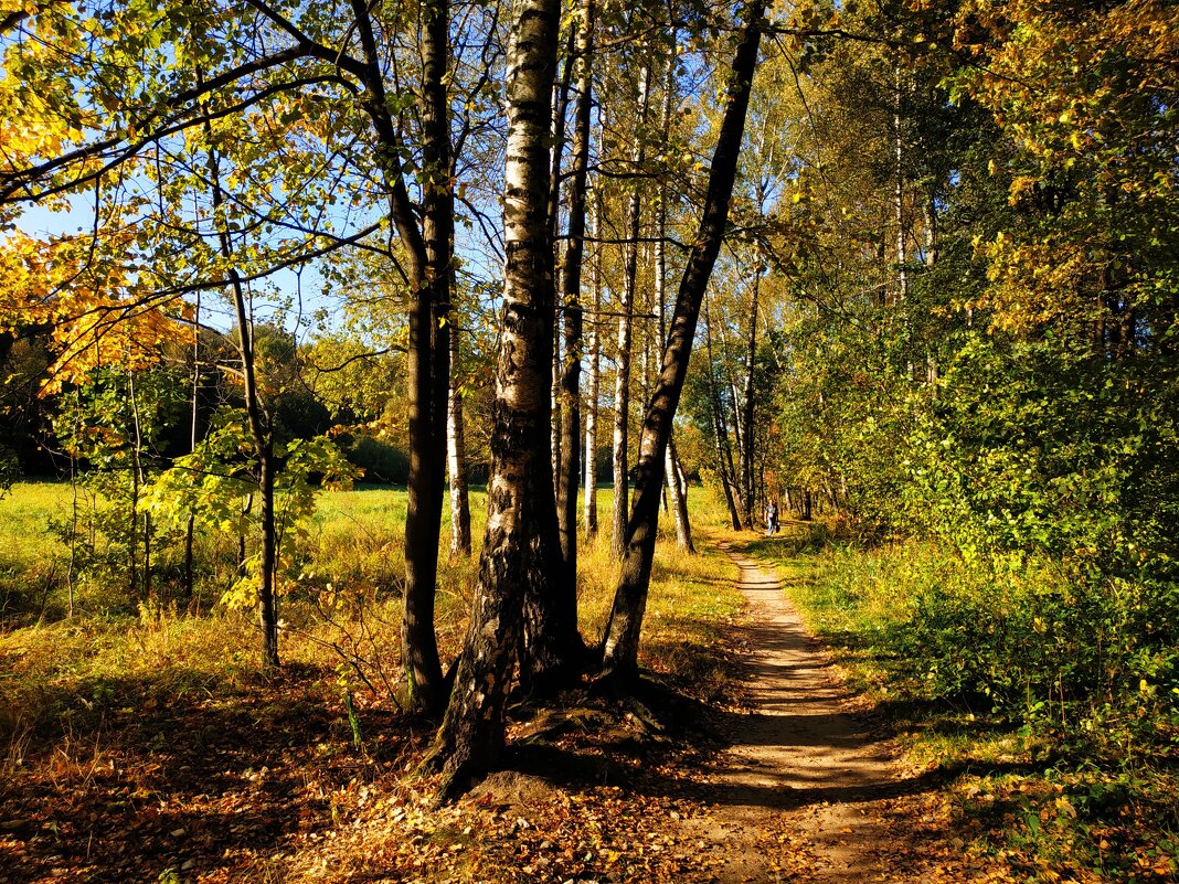 Осеннее равноденствие. На сколько дней еще осталось тепла? - Андрей Лукьянов
