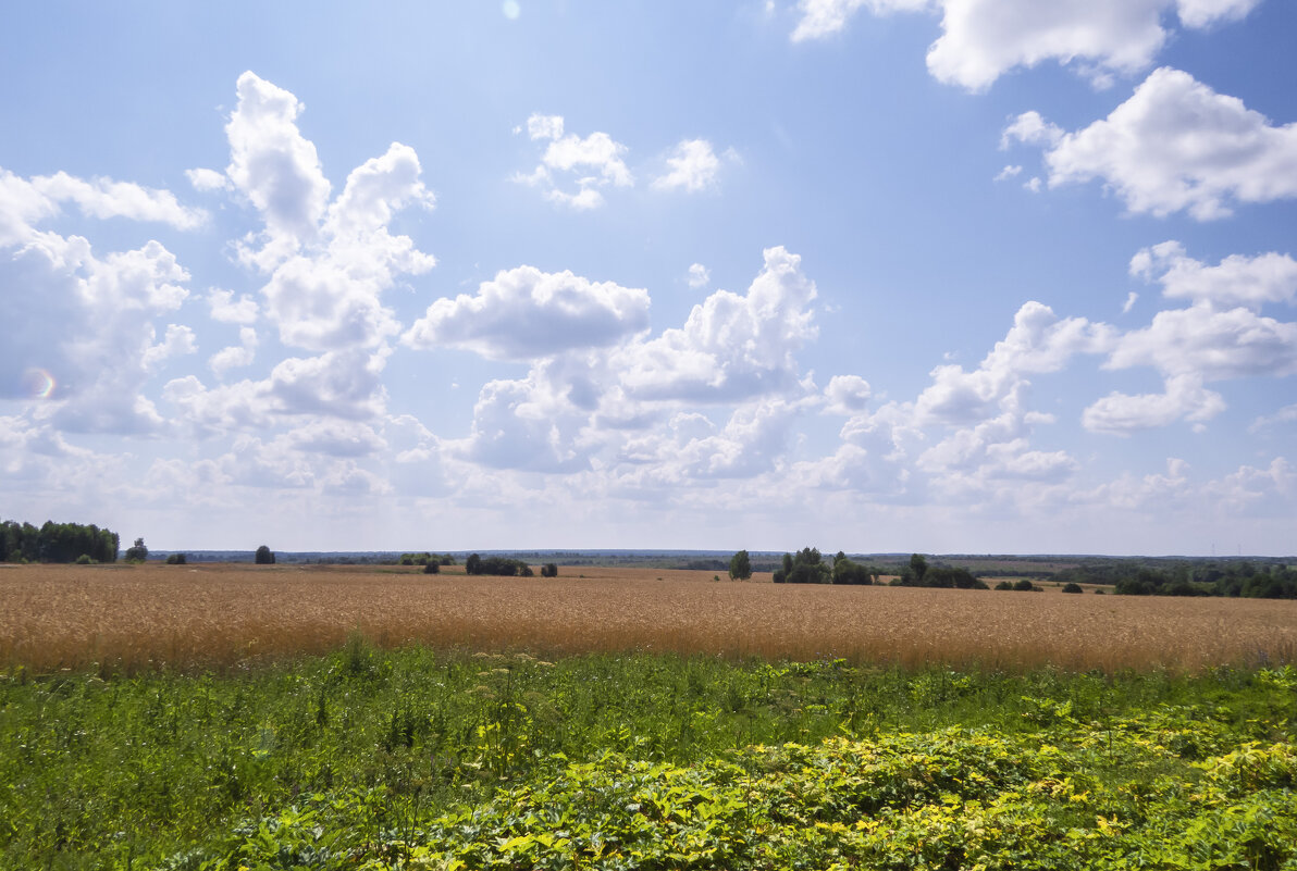 Родные просторы - Сергей Цветков