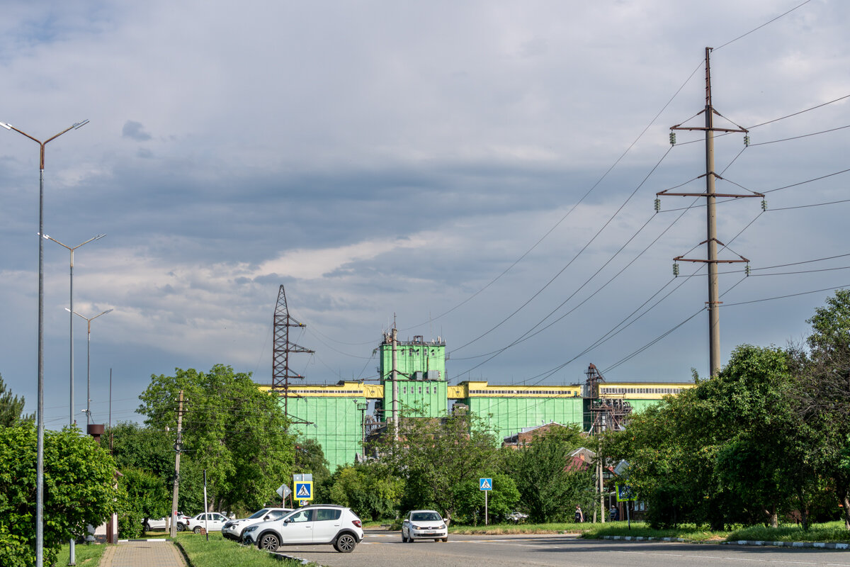 Местный Масложиркомбинат - Игорь Сикорский