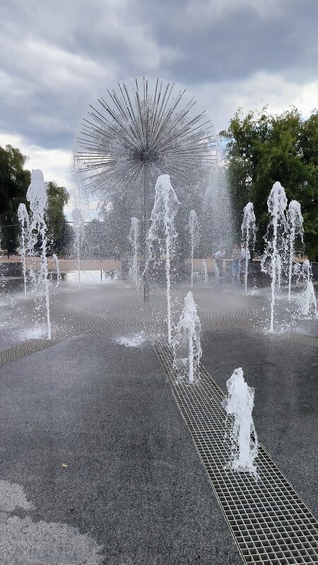 В хмурый день сентября. - Ольга 