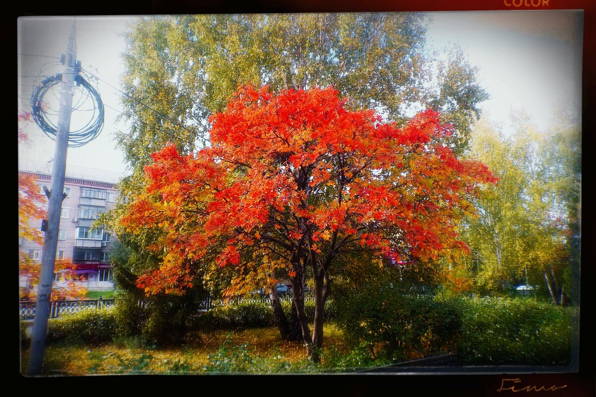 Зелёный, красный, жёлтый - Игорь Солдаткин