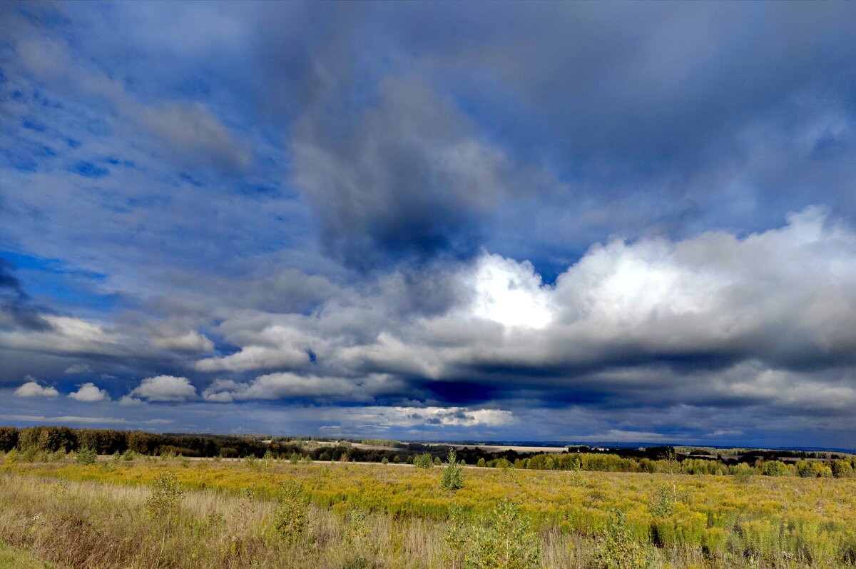 поля Алтая - Евгений Фролов