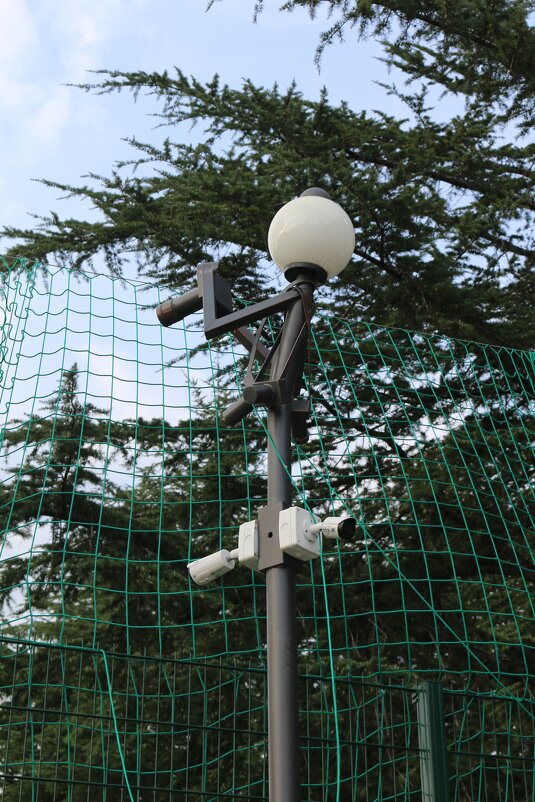 Фонарик-репортёр - Ольга Фонарик-репортёр - Ольга