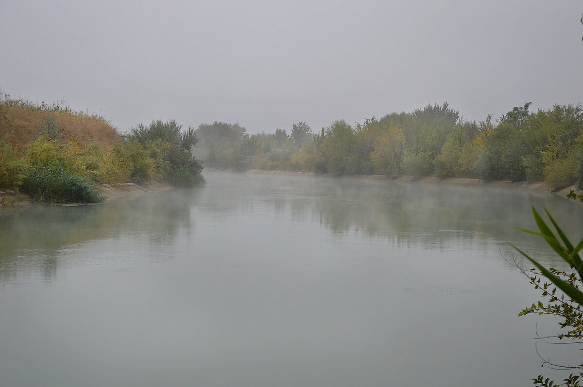 Туман над водой, Право - Егорлыкский канал - Надежда Куркина 