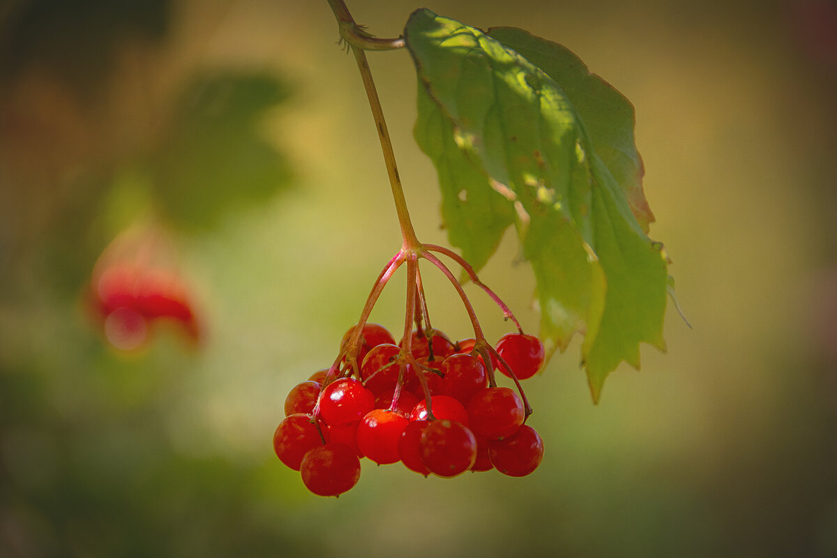 Палитра сентября - Svetlana Galvez Палитра сентября - Svetlana Galvez