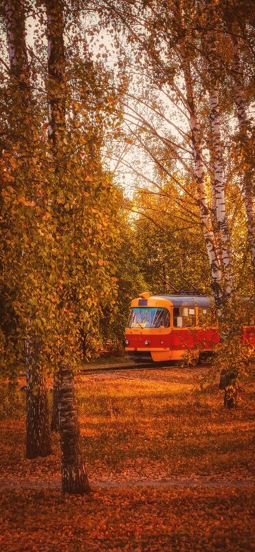 Следующая остановка - Золотая осень - Леонид Абросимов