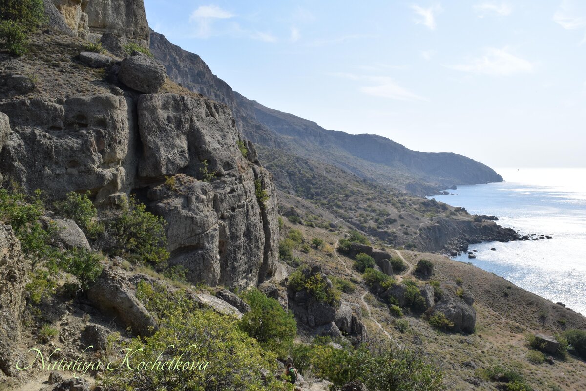 Природа Крыма - Amazing Cosmea