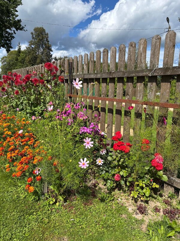 Наслаждение - Алексей Домрин