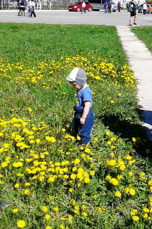 детство - Владимир 