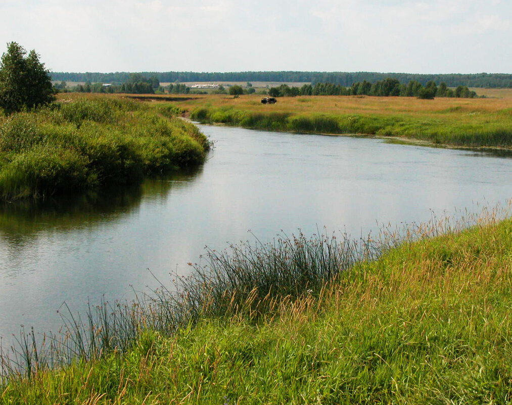 Излучина - Наталья Лунева Излучина - Наталья Лунева