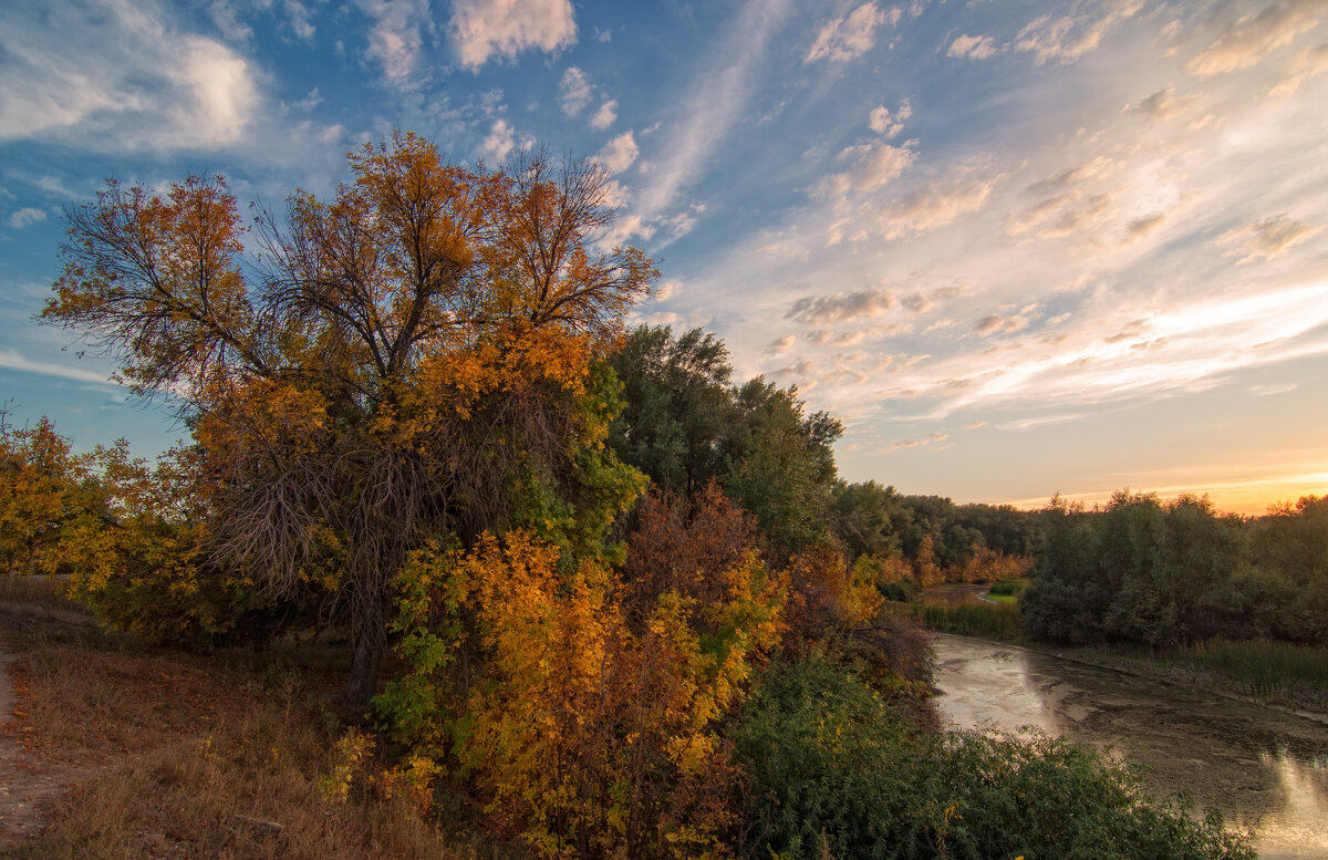 Природный парк Волго-Ахтубинская пойма. - Дина Евсеева Природный парк Волго-Ахтубинская пойма. - Дина Евсеева