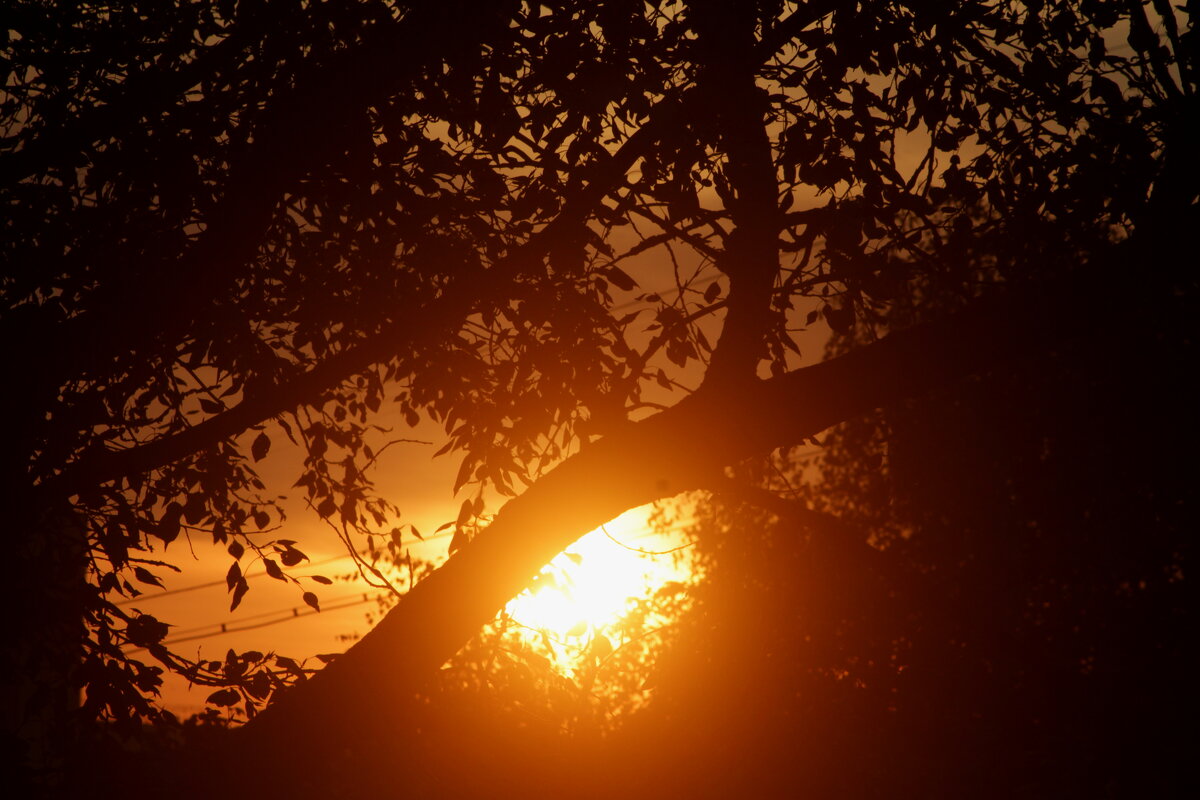 Осенний поцелуй - олег свирский 