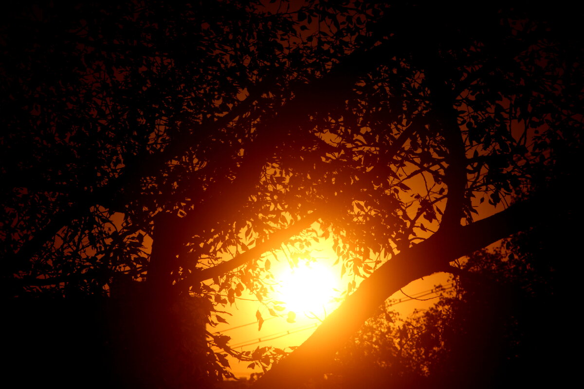 Последний аккорд лета - олег свирский 