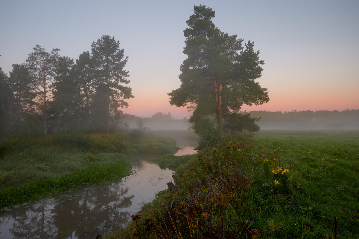 Осень первоначальная ... - Roman Lunin