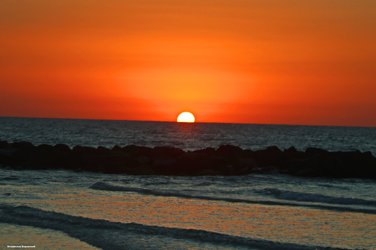 Хайфа 2025 - Владислав Воровский 