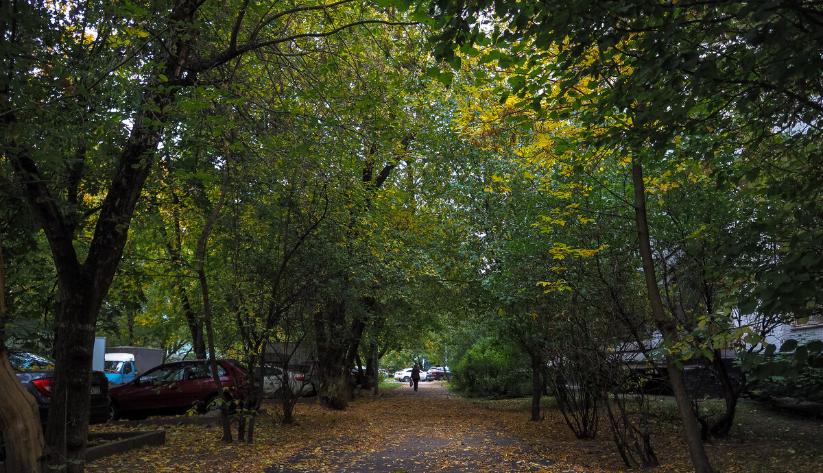 ***** - юрий поляков