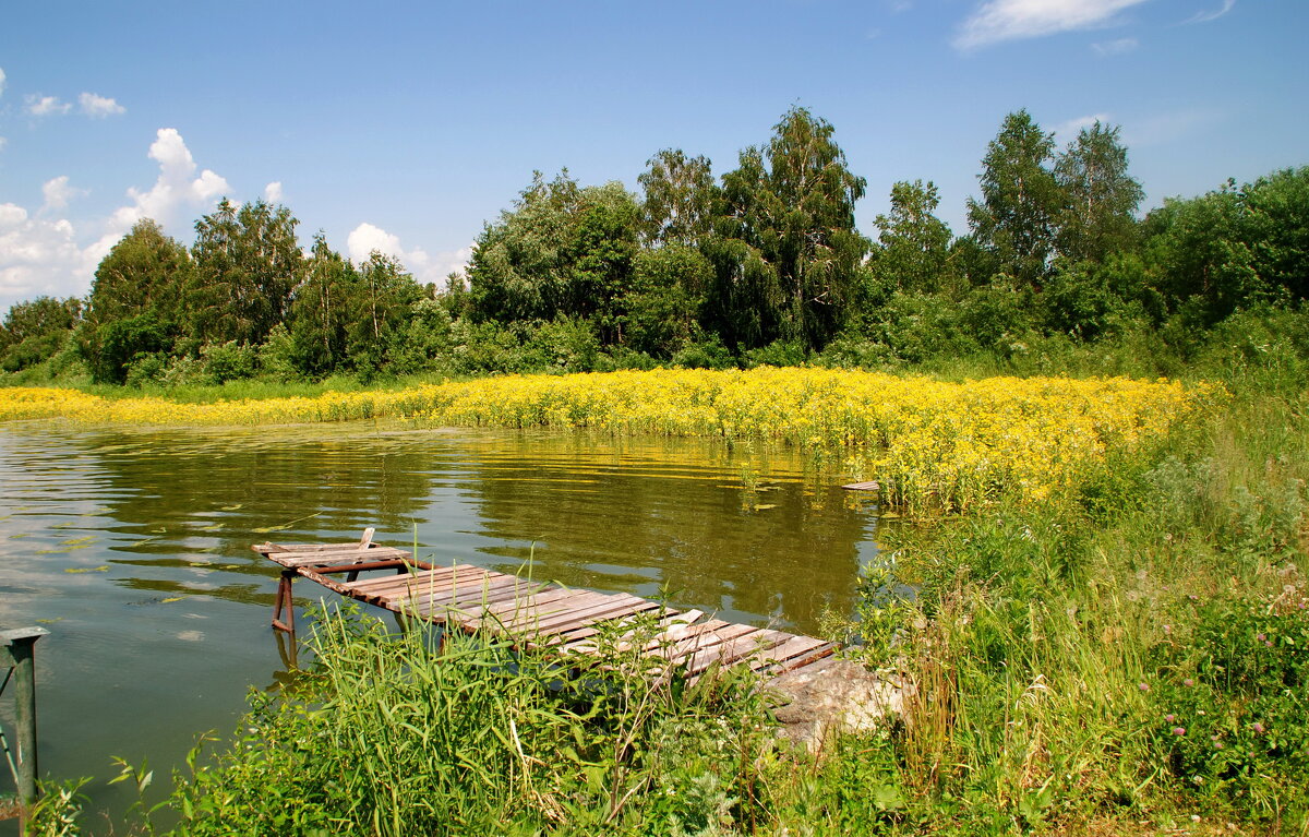 На берегу озера - lyudmila Курлова На берегу озера - lyudmila Курлова