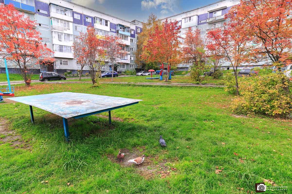 Осень в моем городе - Сергей Винтовкин