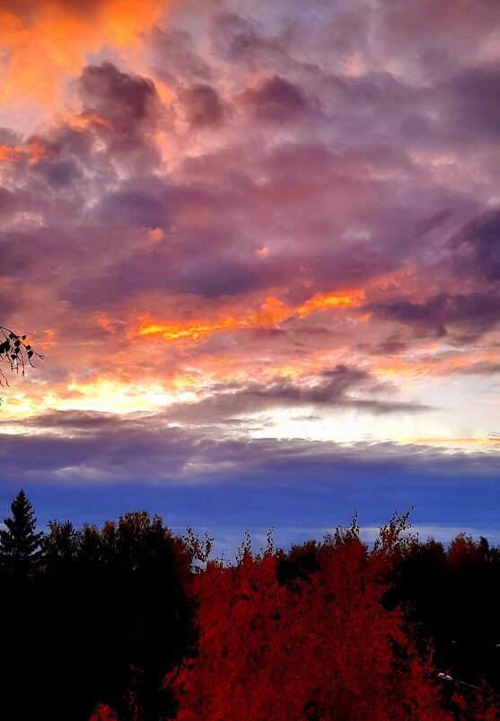 Небеса обетованные . Вечер . - Мила Бовкун