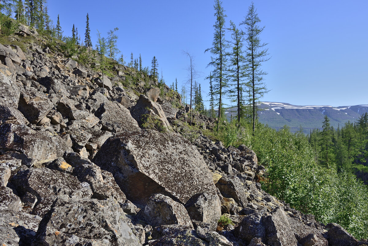 Курумник - Александр Хаецкий