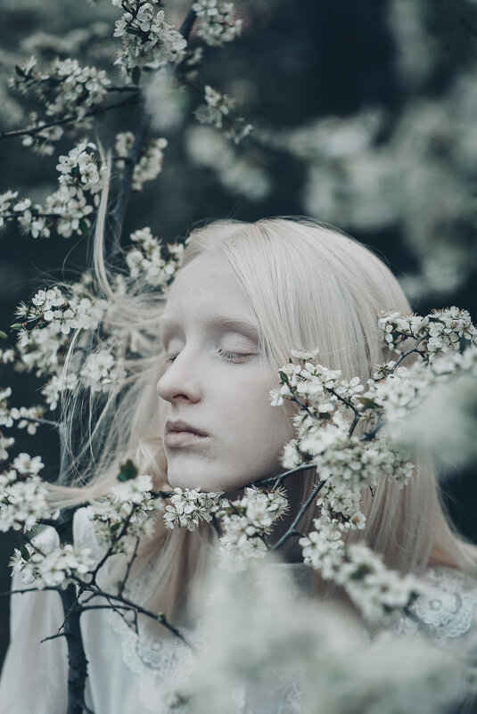 Кристина - Вероника Гергерт