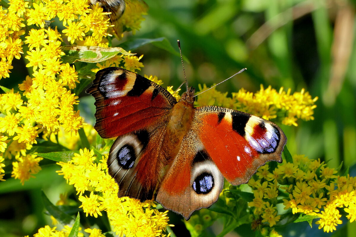 Из сегодняшней съёмки 13 - Александр Прокудин