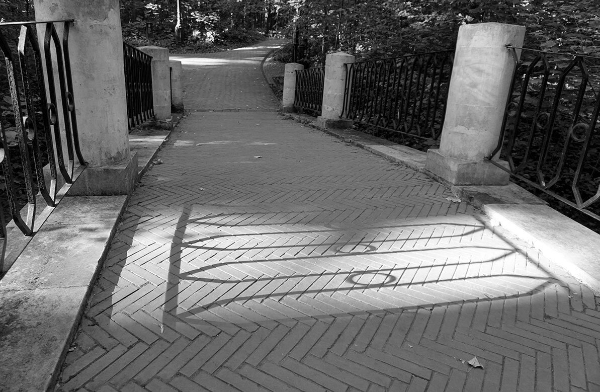 Полуденная тень - Лариса Корж