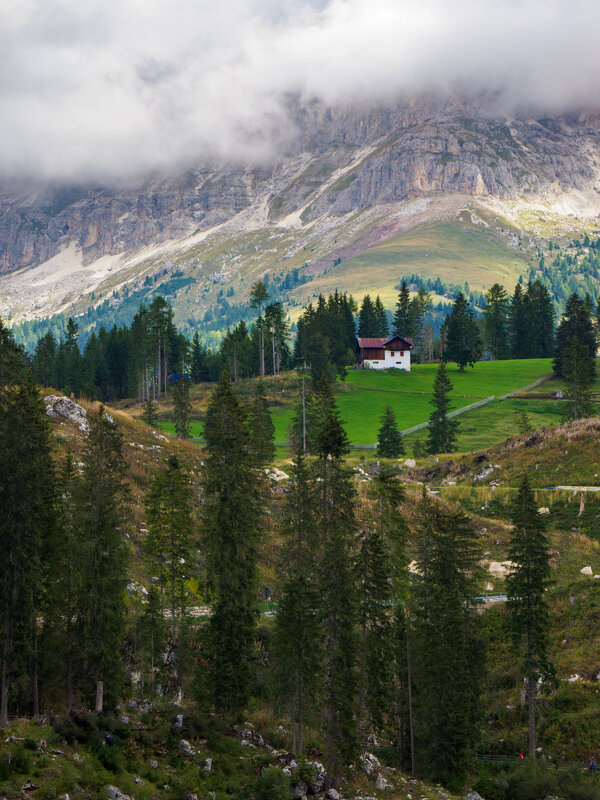 Домик "с человеческим лицом" - Alex Molodetsky Домик "с человеческим лицом" - Alex Molodetsky