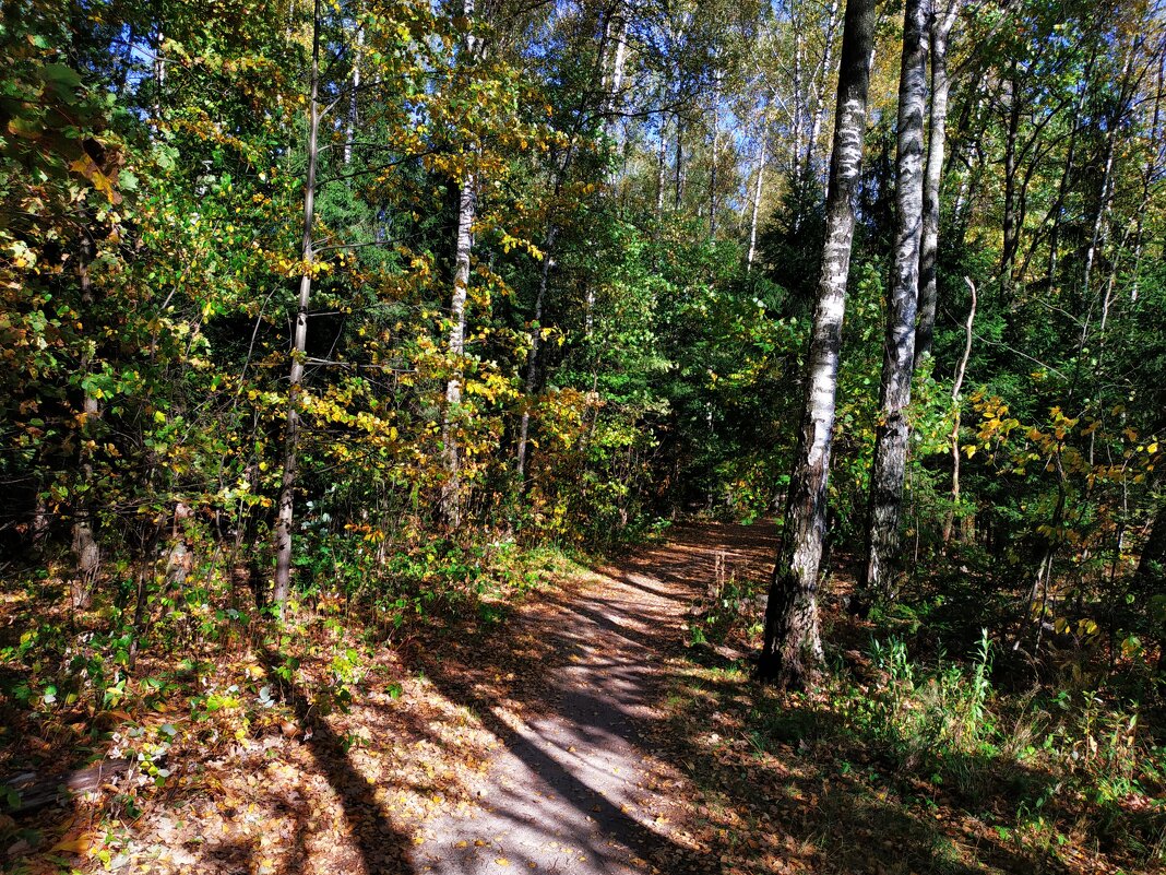 Бабье лето длинным не бывает - Андрей Лукьянов