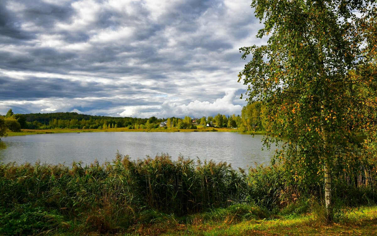 Осень в сентябре. - Милешкин Владимир Алексеевич 