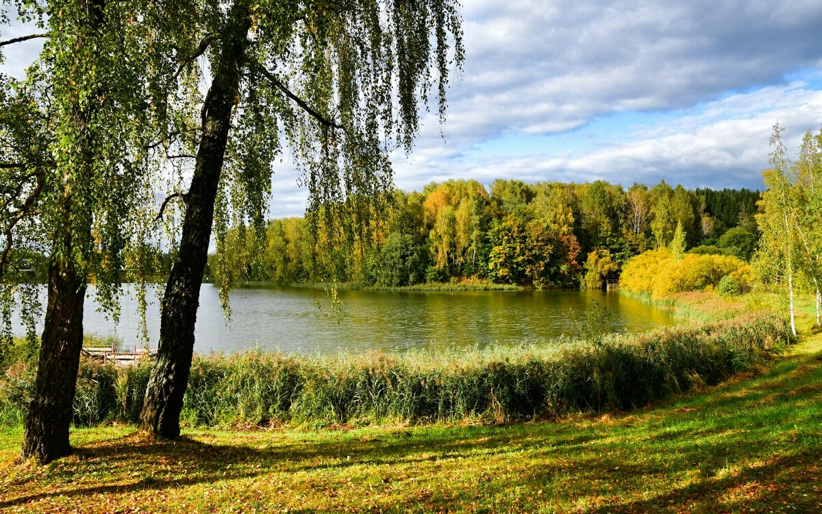 Про осень в сентябре. - Милешкин Владимир Алексеевич 