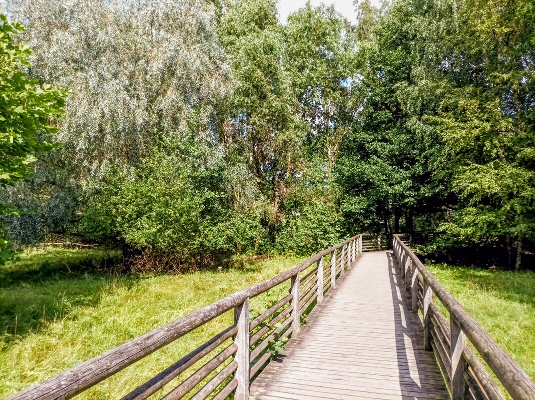 Прогулка по зоопарку - Veera V Прогулка по зоопарку - Veera V