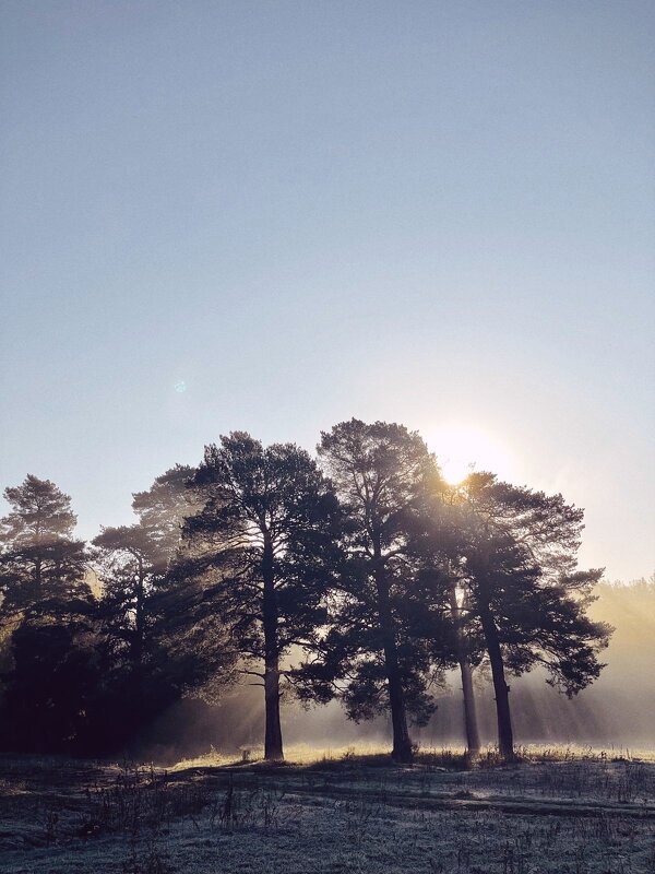 Утро,туманное... - Георгиевич 