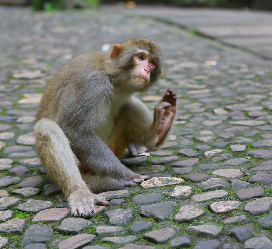 слушаю ... - Andrey Bragin 