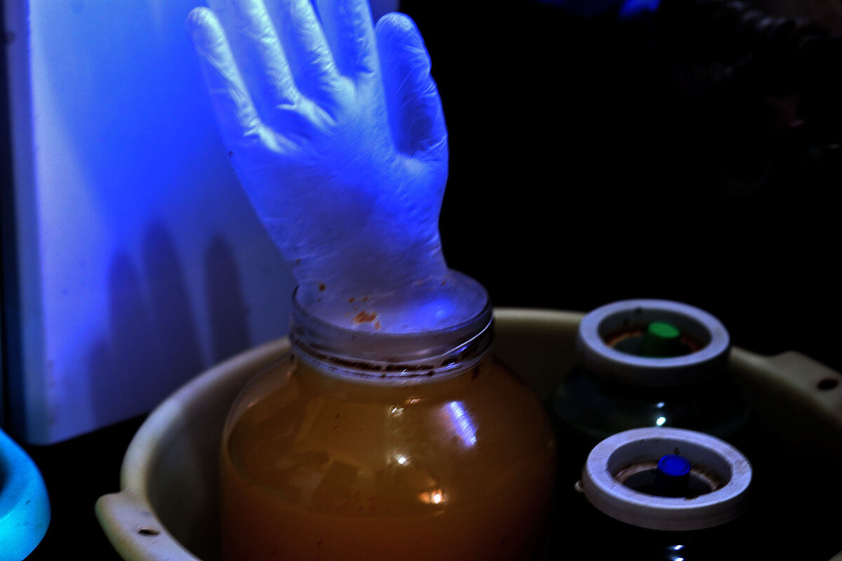 Созревает - Юрий Гайворонскiий