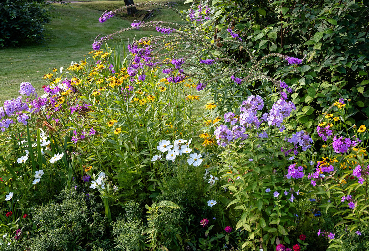 Цветы - Валерий Пославский Цветы - Валерий Пославский