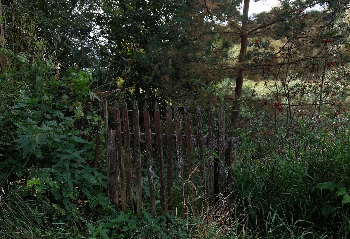 Старая калитка. - Люба Старая калитка. - Люба