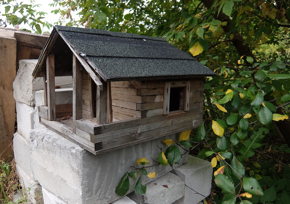 Кто, кто в теремочке живёт? - Люба Кто, кто в теремочке живёт? - Люба