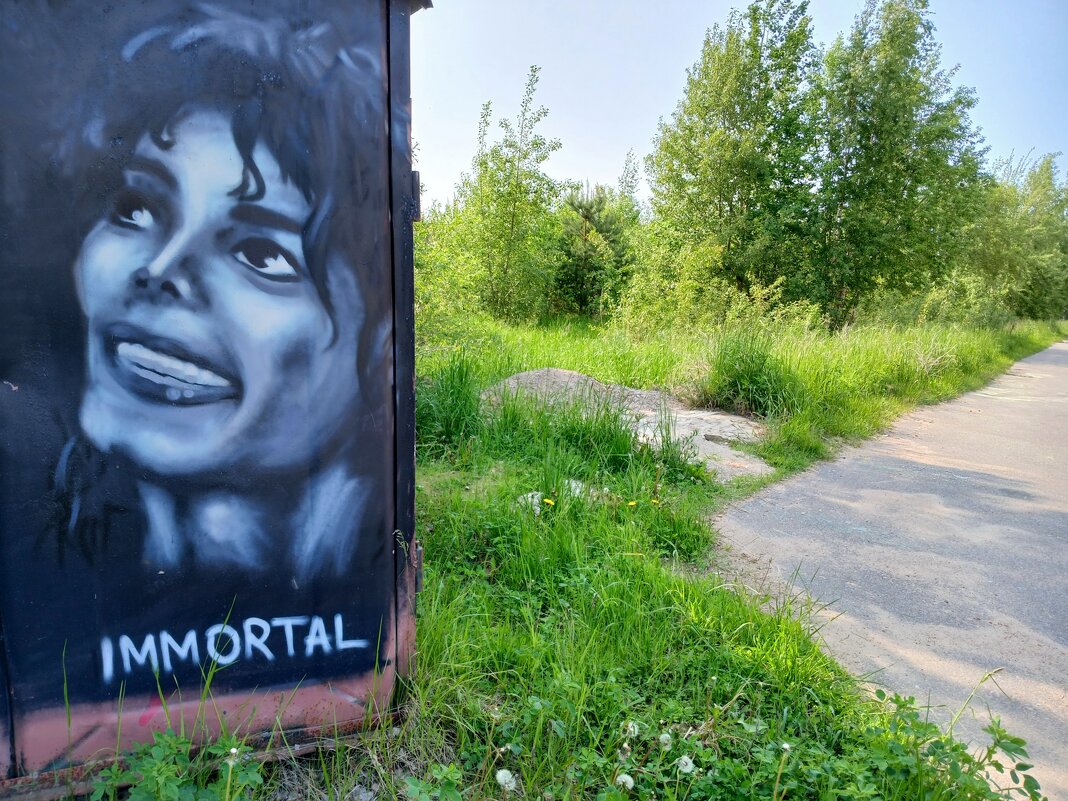 Граффити памяти Майкла Джексона. - Лия ☼