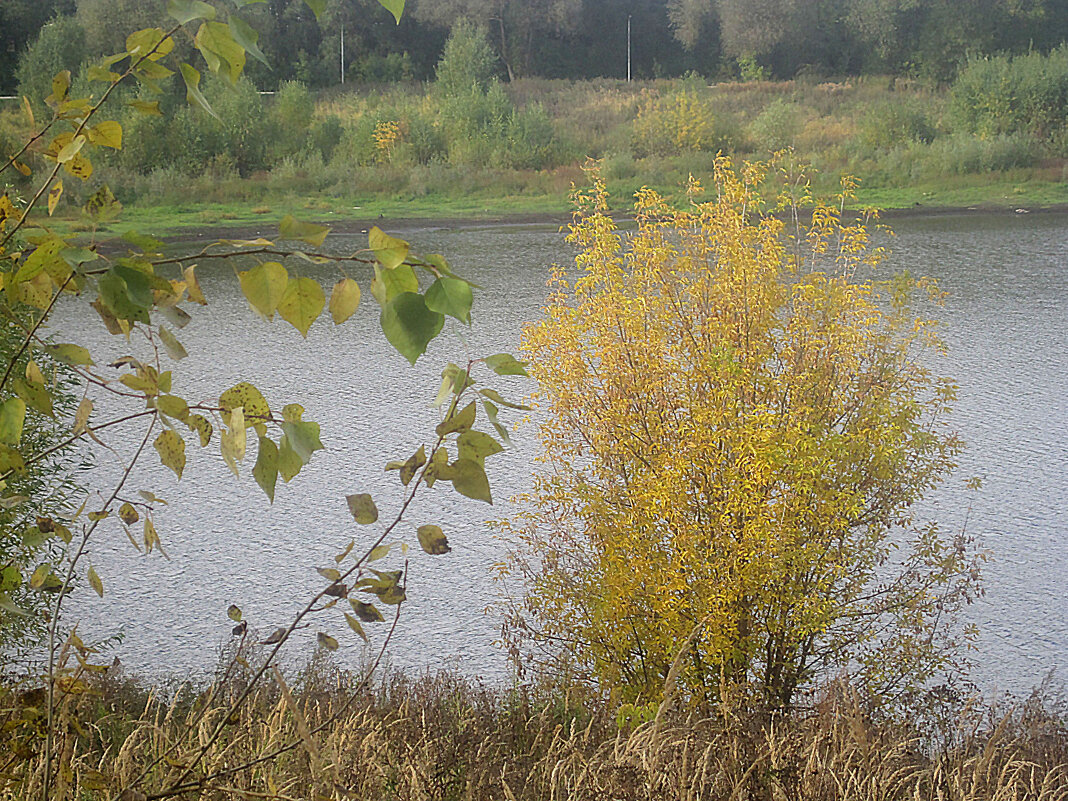 Осень - Елена Семигина