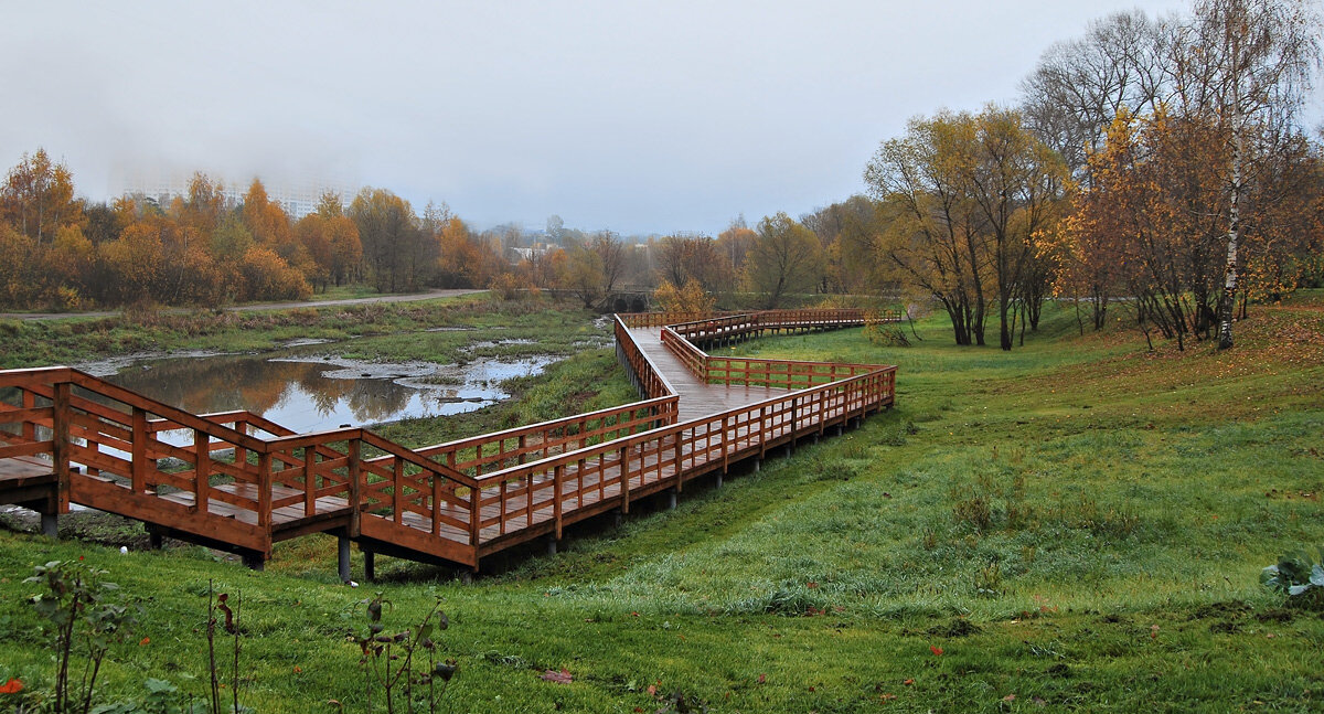 Осенние зарисовки... - Ирина С