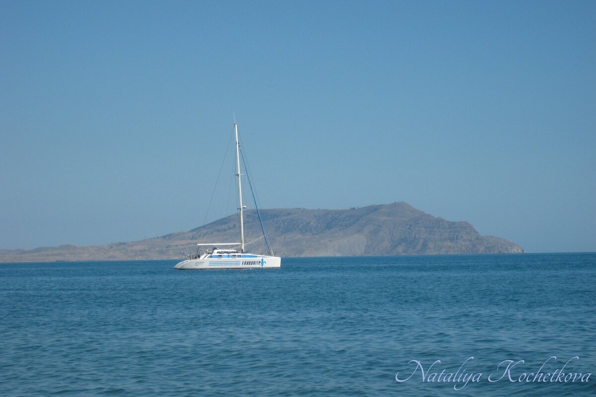 Природа Крыма - Amazing Cosmea