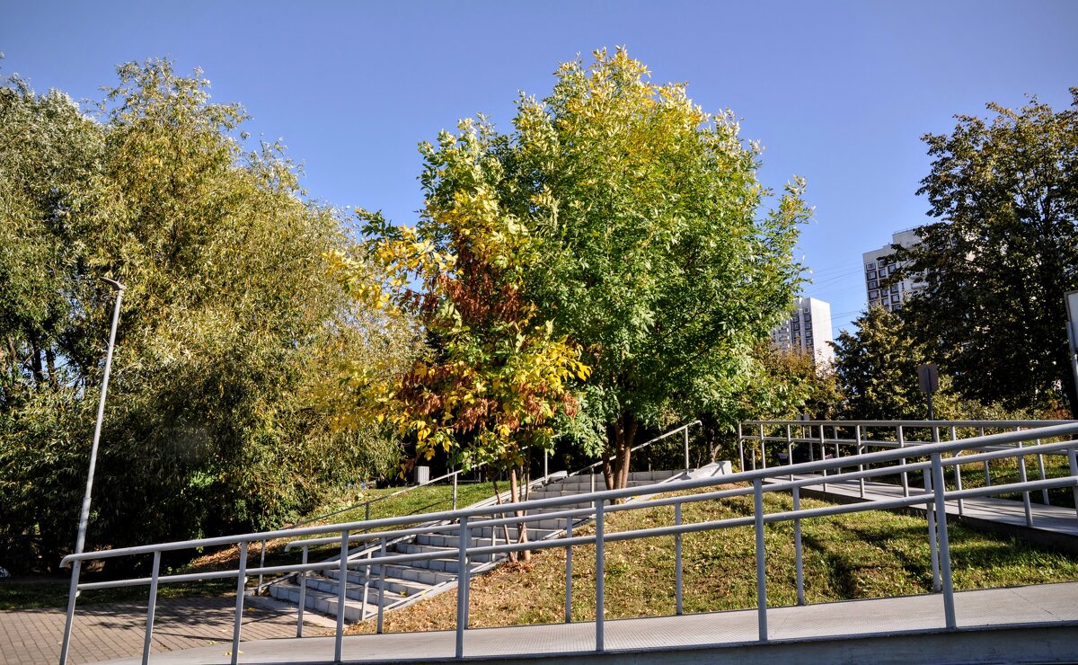 Пандус - Анатолий Колосов