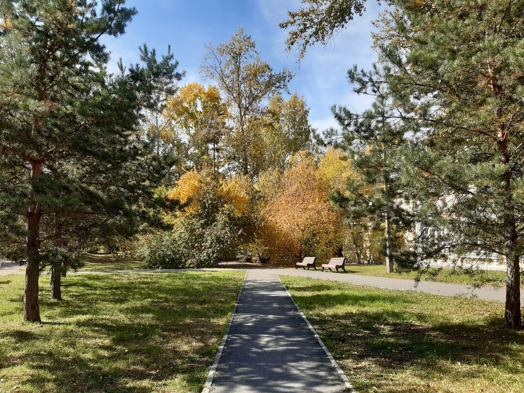 Осень в городе - Галина Минчук