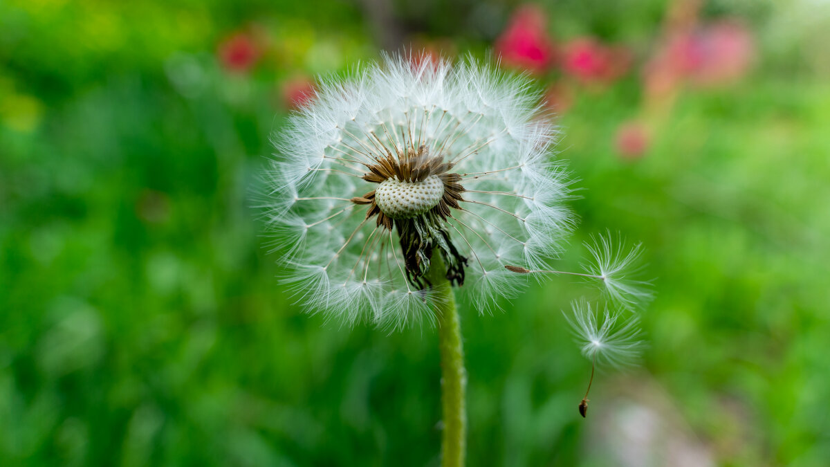 Вот вот и полетим - Владимир Иванович