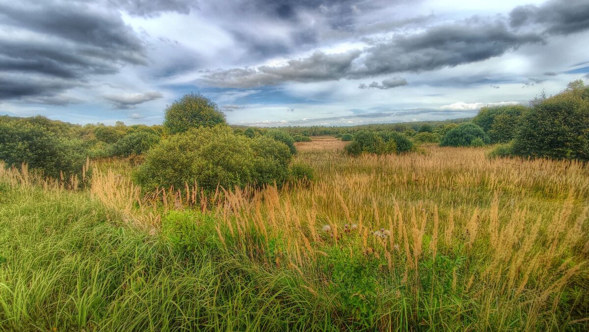 Красоты Подмосковья - Наталья Лакомова