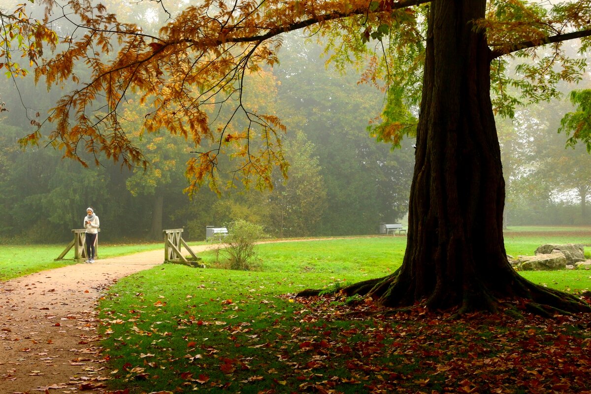 Звонок из осени - Юрий. Шмаков