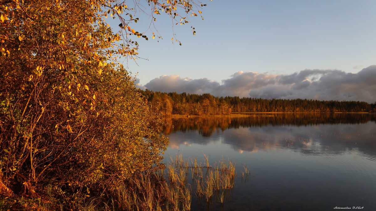 лесное озеро - Ольга Cоломатина